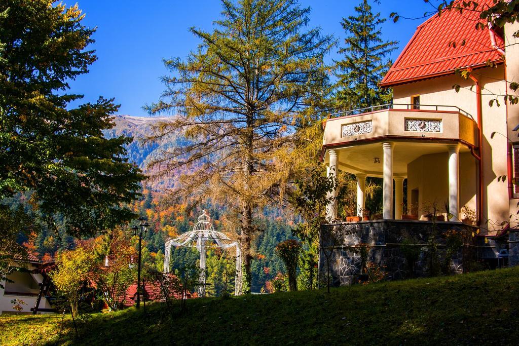 Hotel Pensiunea Boema Sinaia Exterior foto